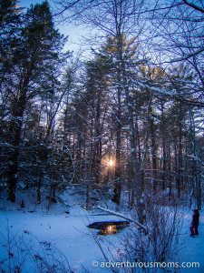 Harold Parker State Forest Snowshoeing