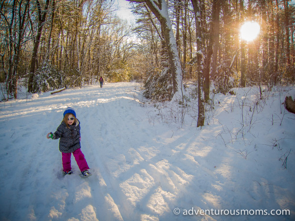 Harold Parker State Forest Snowshoeing