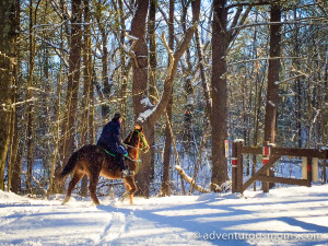 Harold Parker State Forest Snowshoeing