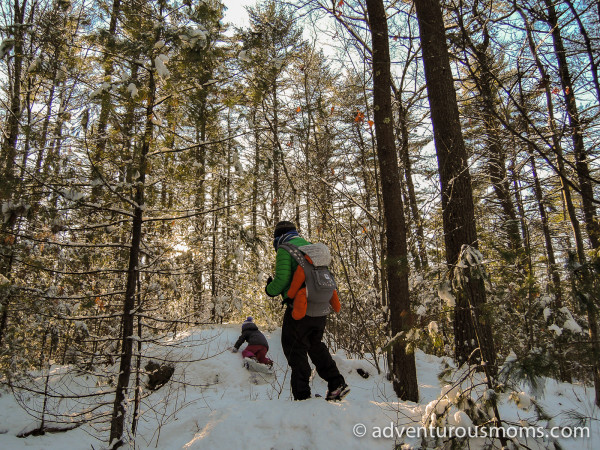 Harold Parker State Forest Snowshoeing