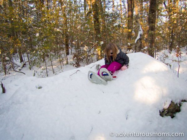 Harold Parker State Forest Snowshoeing