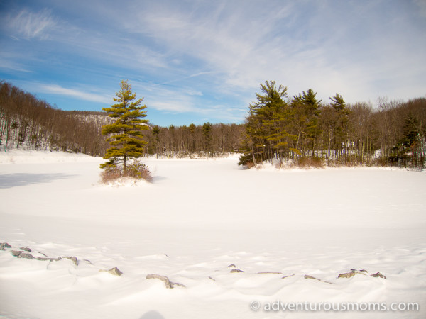 Snowshoeing in Leominster State Forest