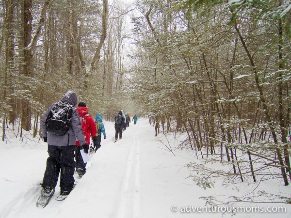 Noble View Snowshoeing