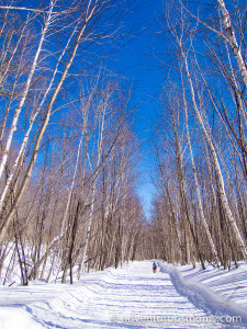 Tubbs Snowshoes Romp to Stomp Out Breast Cancer