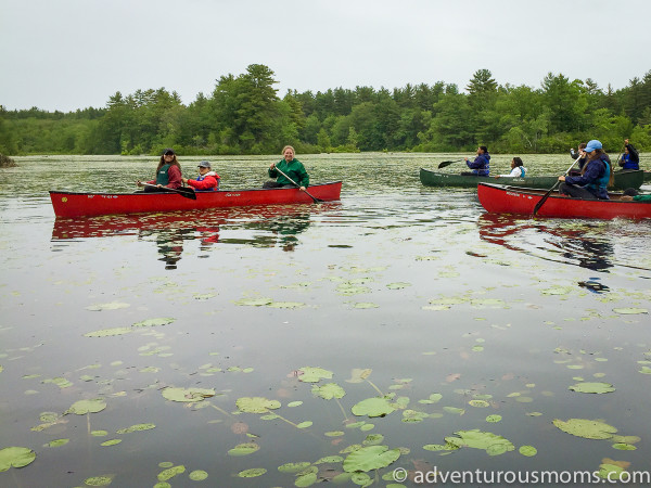 5 Tips for Canoeing With Teens