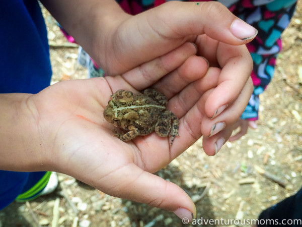 National Trails Day 2015