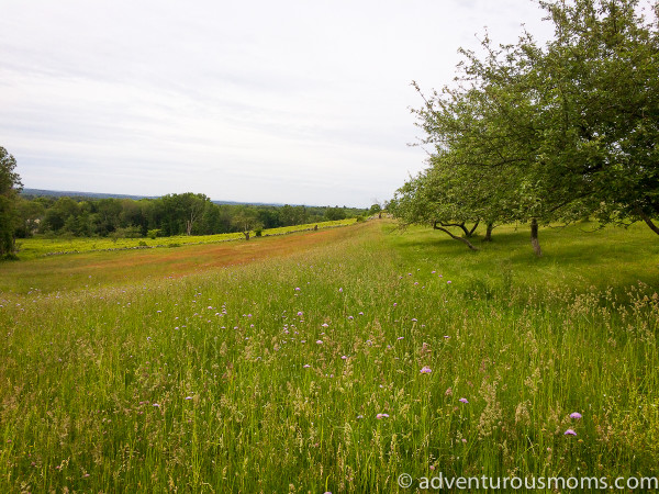 National Trails Day 2015