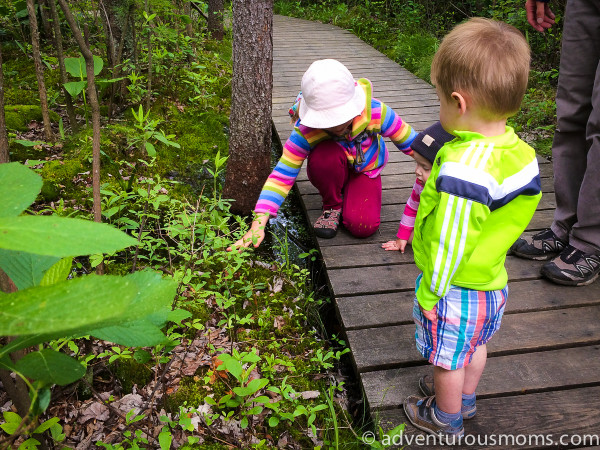 National Trails Day 2015