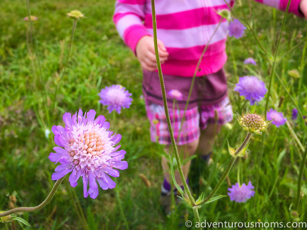 National Trails Day 2015