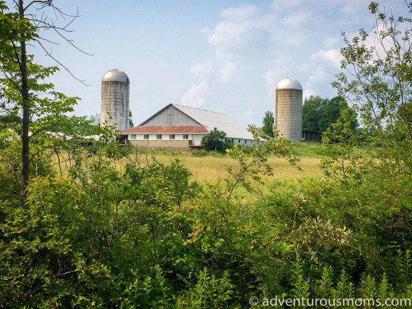 Delaware and Hudson North Rail Trail Vermont