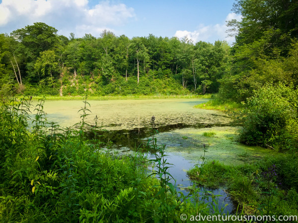 Delaware and Hudson North Rail Trail Vermont