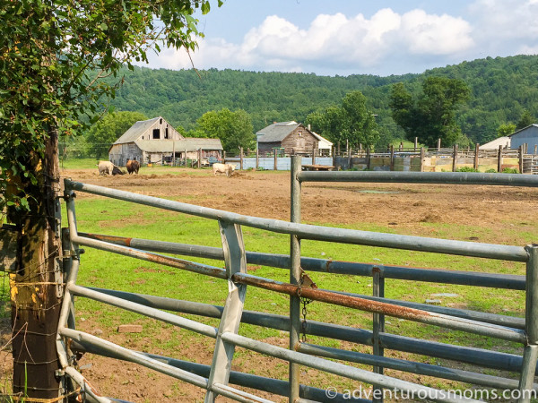 Delaware and Hudson North Rail Trail Vermont