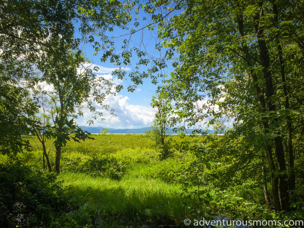 Island Line Rail Trail in Burlington, VT