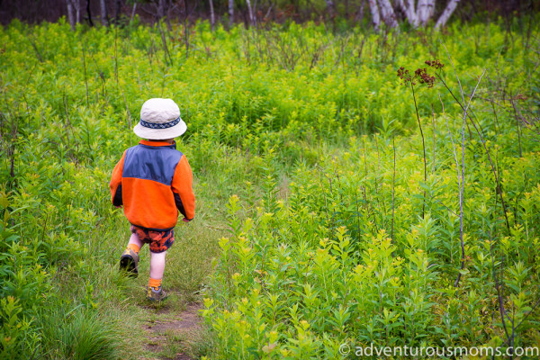 Robert Frost Interpretive Trail, Ripton, VT