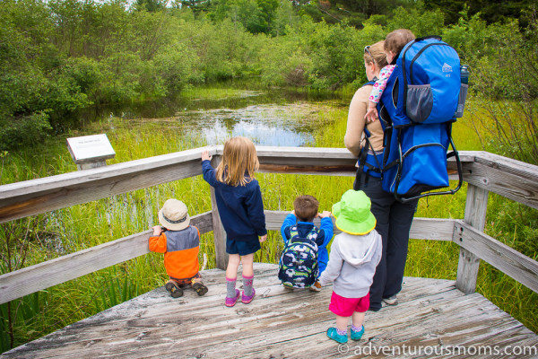 Robert Frost Interpretive Trail, Ripton, VT