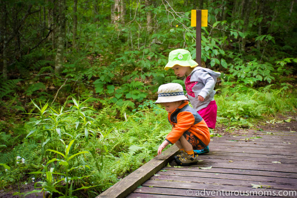 Robert Frost Interpretive Trail, Ripton, VT