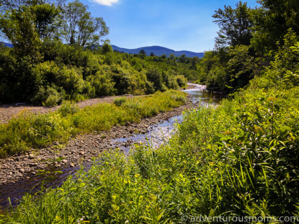 Finding Love in the Green Mountains