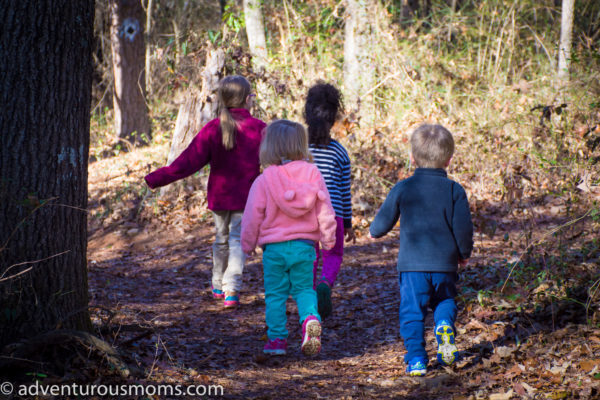 Lake Conestee Nature Park