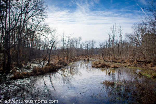 Lake Conestee Nature Park