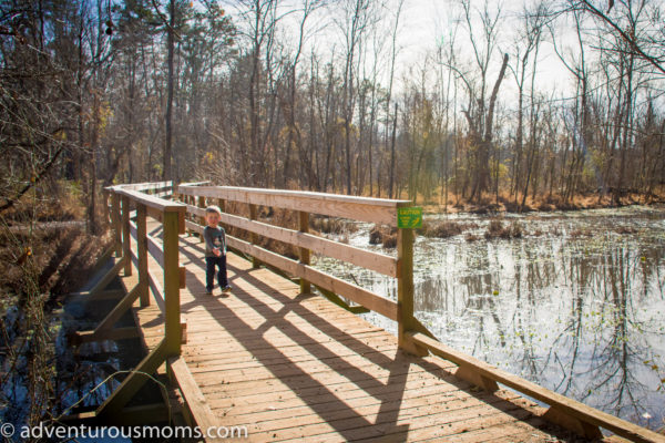 Lake Conestee Nature Park