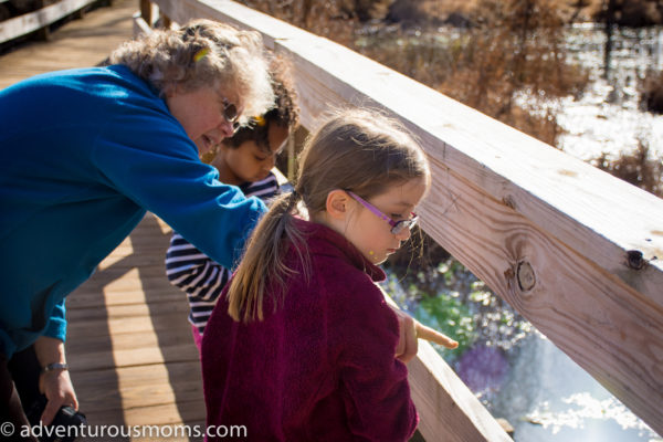 Lake Conestee Nature Park