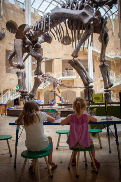 Fernbank Museum