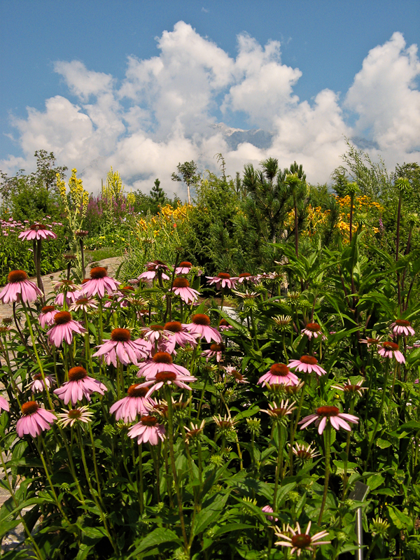 The gardens at the Swarovski Crystal Museum.