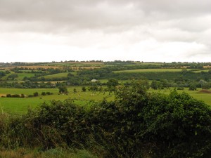 The Irish Countryside in County Meath.