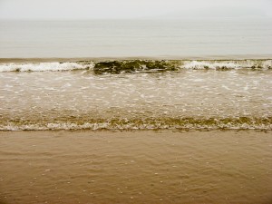 The shore in New Brunswick, Canada.