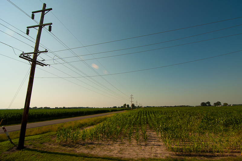 Kansas Cornfield