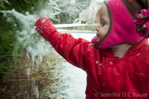 Addie shaking the snow off the branches.