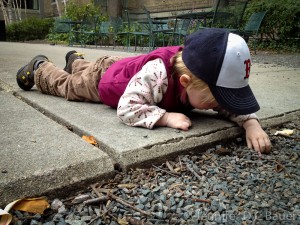 Addison examining rocks in the Calder Courtyard at the Boston MFA.