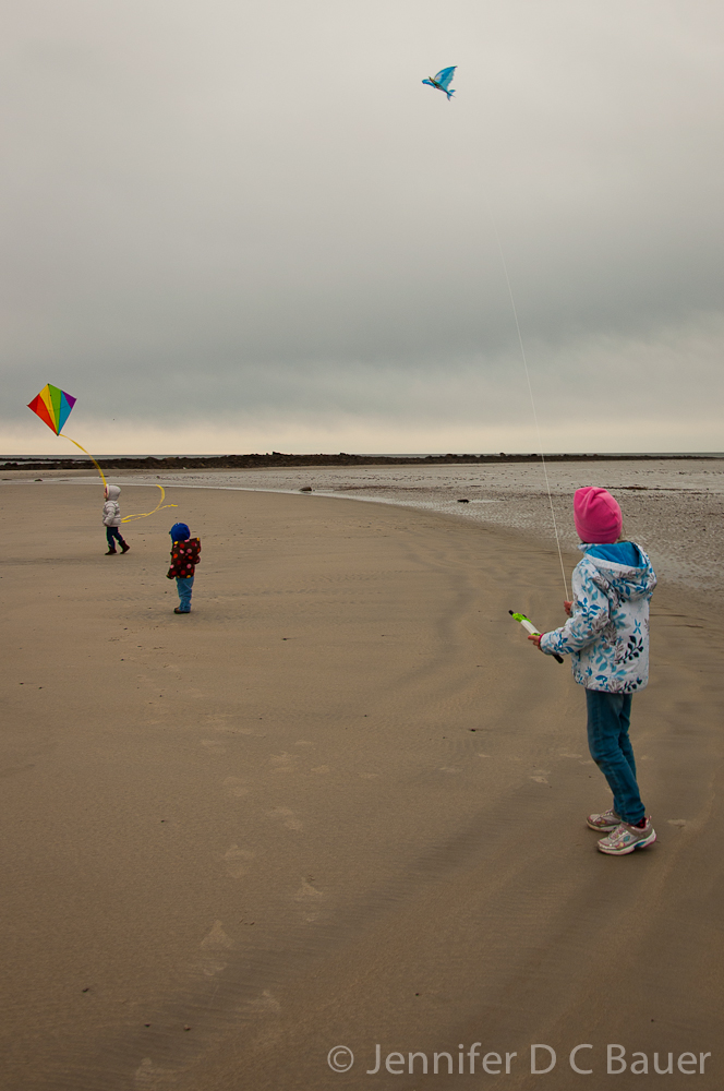 Flying kites in Wells, ME.