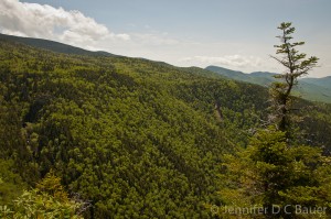 The view from the southern portion of ImpTrail.