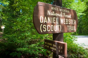 Daniel Webster (Scout) Trail in the White Mountains of N.H.