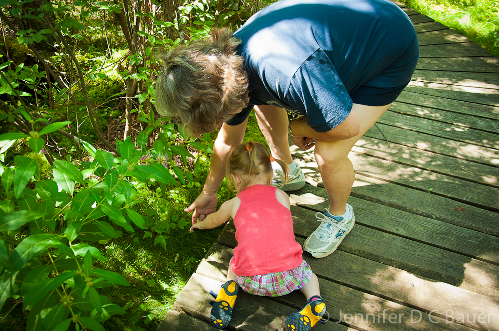 Grandmama teaching Addie about plants.