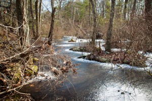 The Skug River in Andover, MA