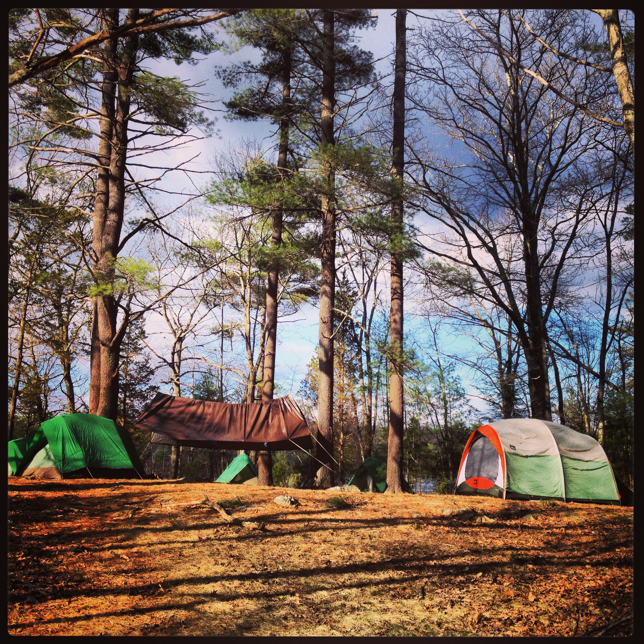 Camping at Harold Parker State Forest in Andover, MA