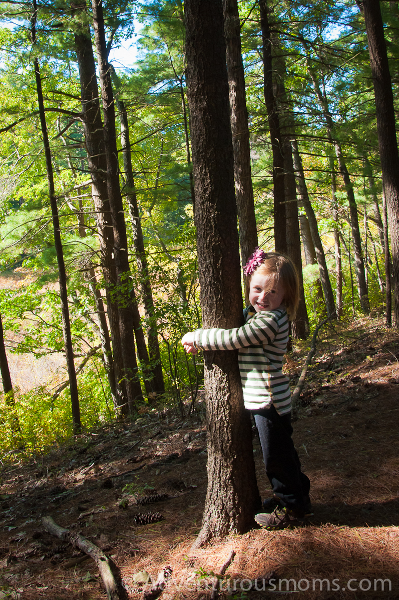 Addie tree hugging at Wilkinson Reservation in Andover, MA