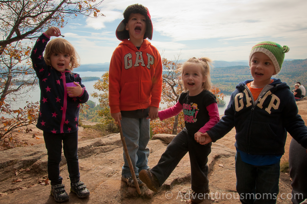 Ava, Cole, Addie and Ty celebrate making it to the top of West Rattlesnake Mountain in Holderness, NH