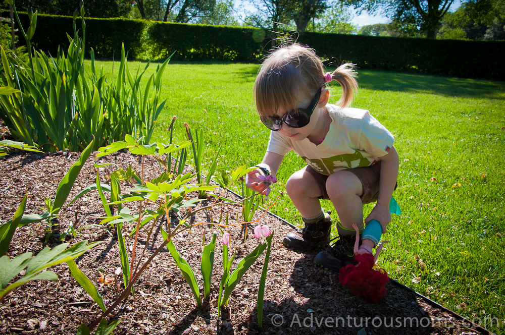 Celebrating Earth Day