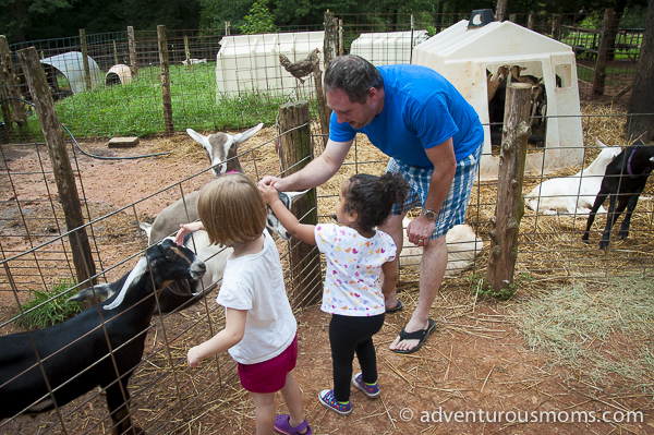 Split Creek Farm, Anderson, SC