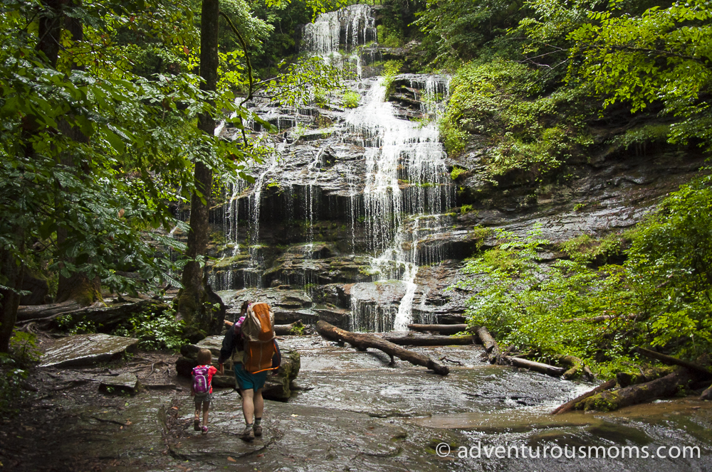 Station Cove Falls Trail South Carolina