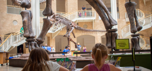 Fernbank Museum